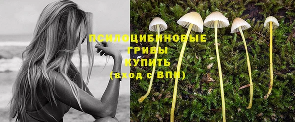 эйфоретик Абаза