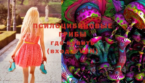 a pvp Алзамай