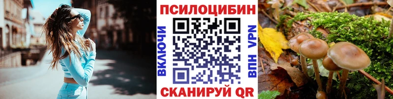 Псилоцибиновые грибы мухоморы  Зеленогорск 